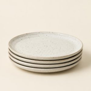 Speckled Dinner Plates, Set of 4